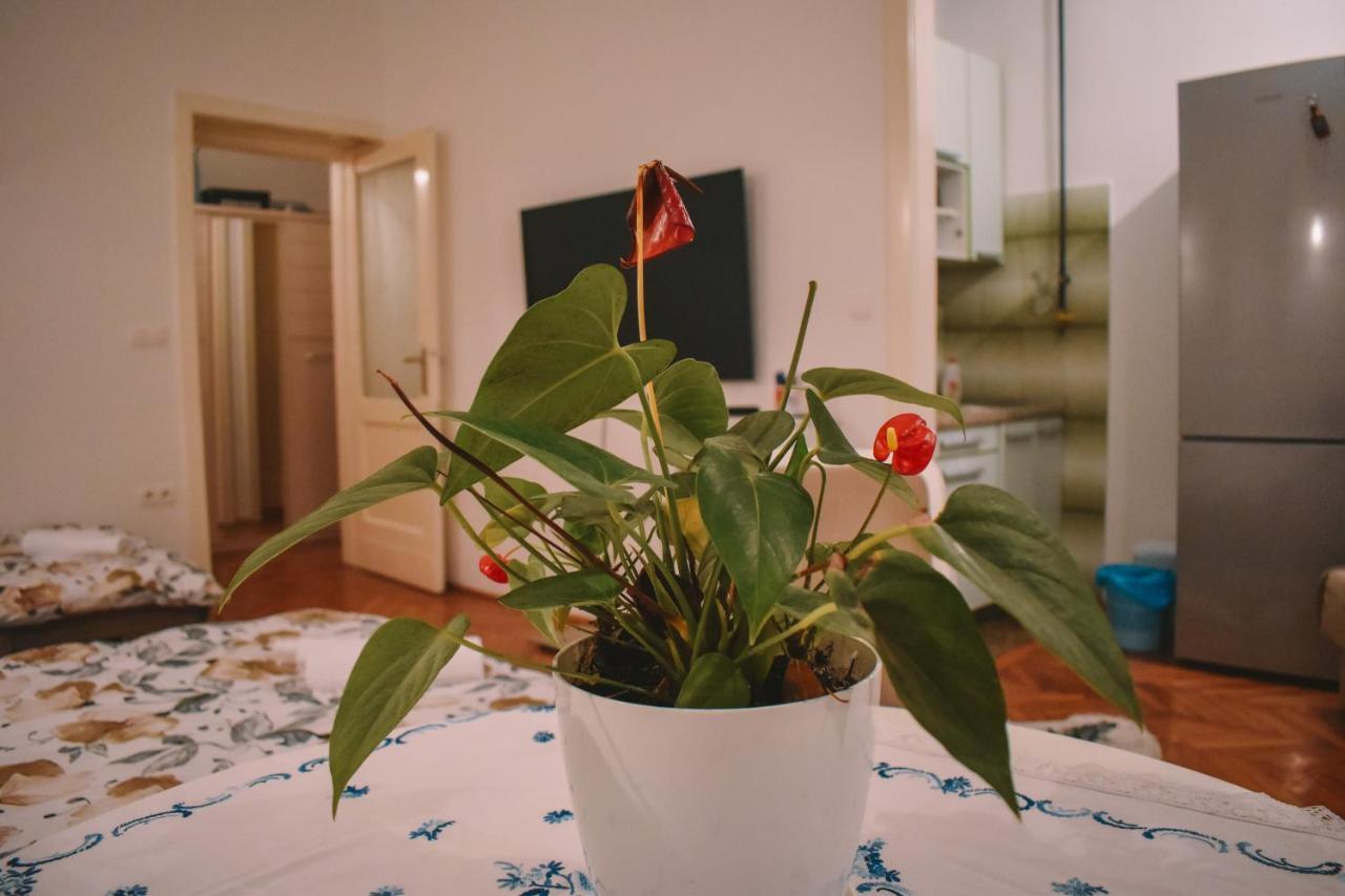 Nina Apartment Сараево Экстерьер фото